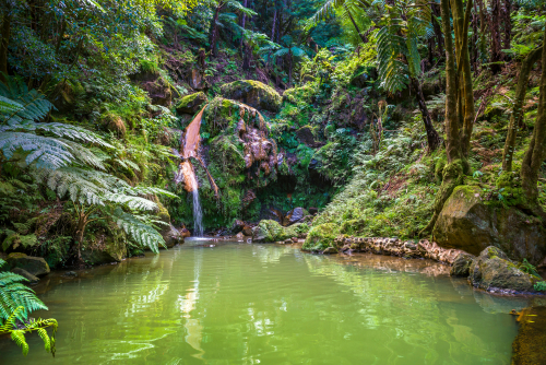 Salto do Cabrito Waterfall in Sao Miguel Island, Azores, Portugal