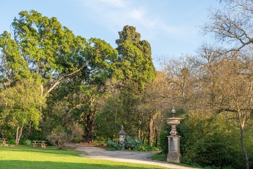 Garden Tapada das Necessidades at sunset in Lisbon, Portugal