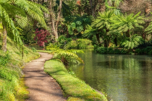 Terra Nostra Garden in Furnas Valley in Sao Miguel Island, Azores, Portugal