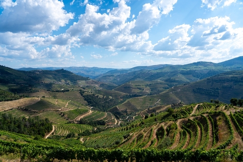 A Viewpoint on the Douro Valley and River, near Porto, Portugal