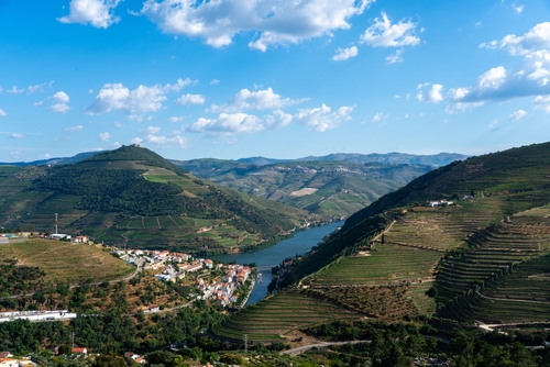 A Viewpoint on the Douro Valley and River, near Porto, Portugal