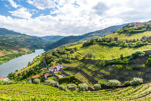Douro Valley Vineyards near Porto, Portugal