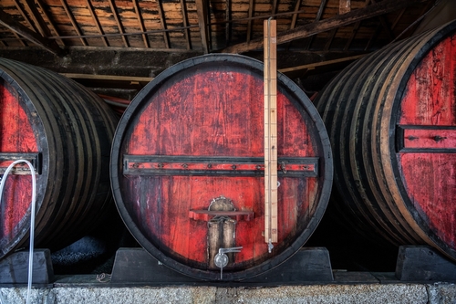 Douro Valley Wine Cellar in a Vineyard near Porto, Portugal